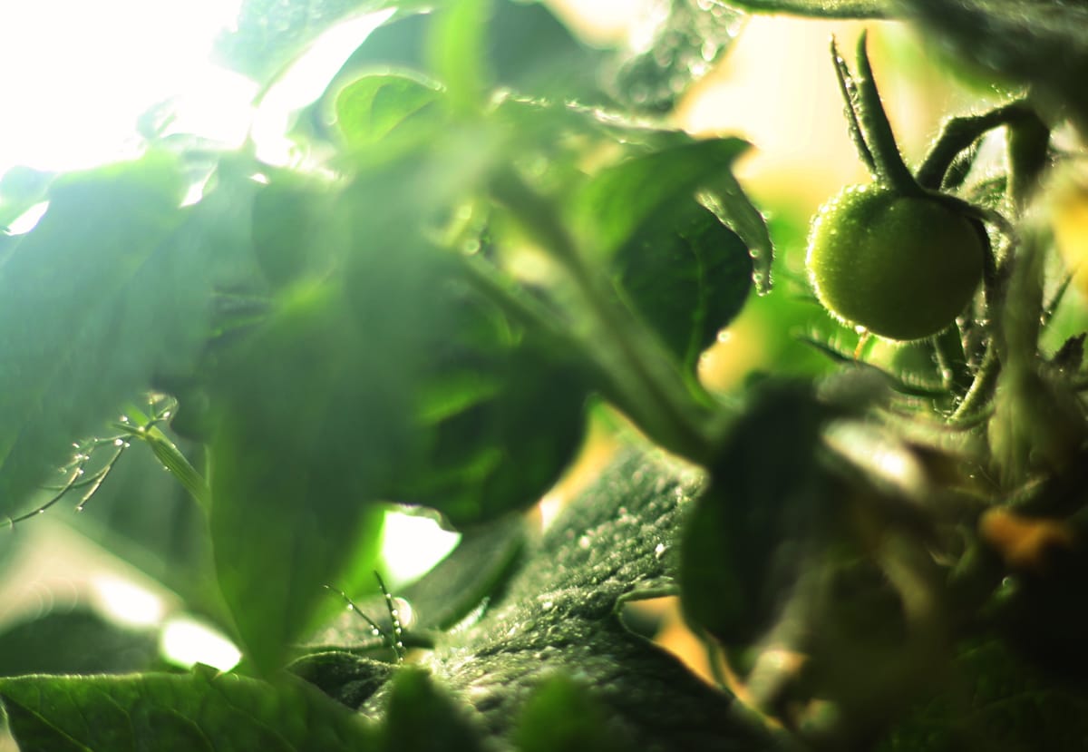 Interiér obývacího pokoje: funkčnost a estetika